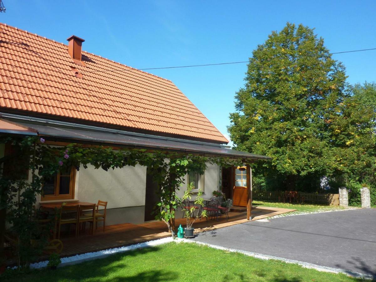 גוסינג Ferienhaus Koller מראה חיצוני תמונה